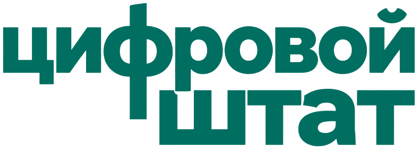 Цифровой штат